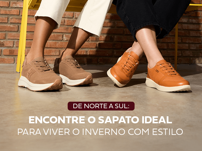 banner da publicação